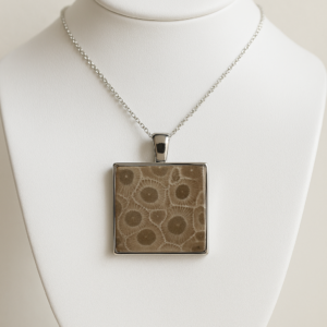 Hand polished Petoskey stone fossil coral necklace