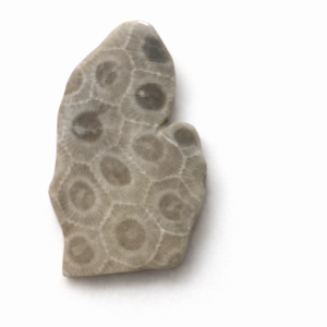 Petosky Stone Michigan shaped Magnet