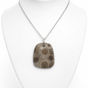 Natural Petosky Stone Necklace