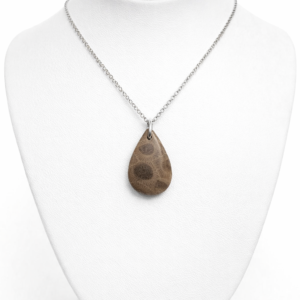 Petosky Stone Petite Teardrop Necklace