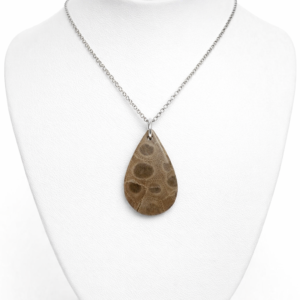 Petosky Stone Natural necklace